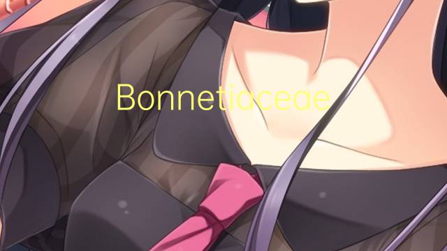 Bonnetiaceae是什么意思 Bonnetiaceae的读音、翻译、用法