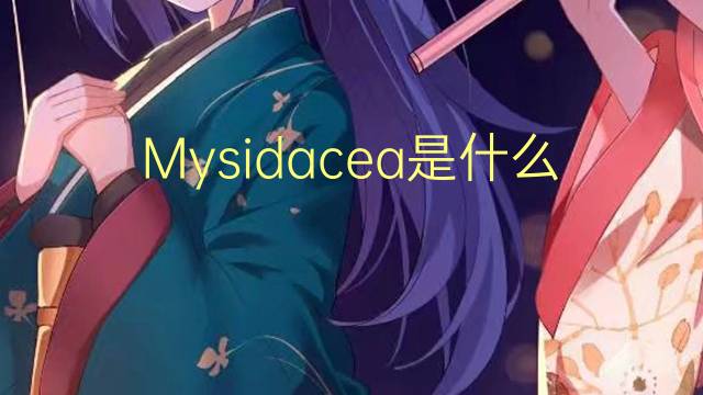 Mysidacea是什么意思 Mysidacea的读音、翻译、用法