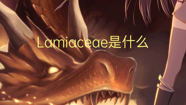 Lamiaceae是什么意思 Lamiaceae的读音、翻译、用法