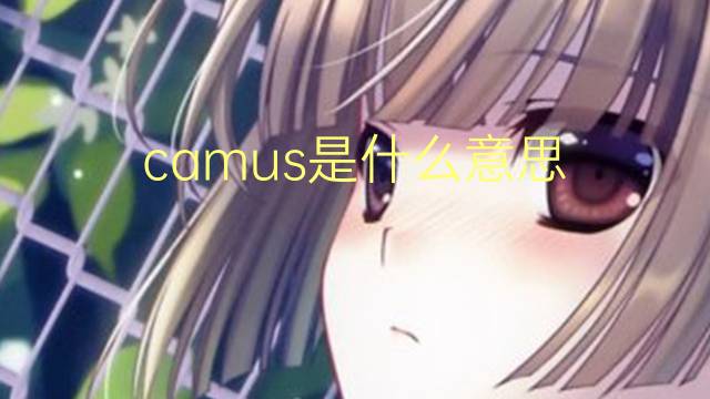 camus是什么意思 camus的读音、翻译、用法