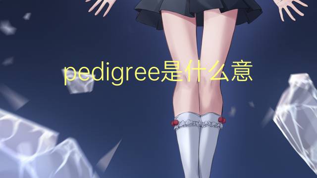 pedigree是什么意思 pedigree的读音、翻译、用法