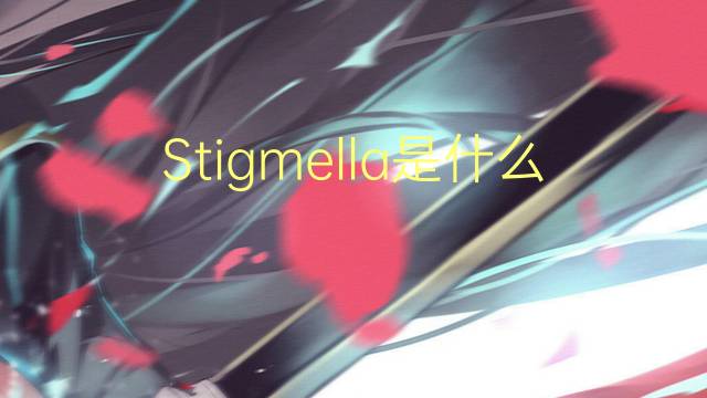 Stigmella是什么意思 Stigmella的读音、翻译、用法