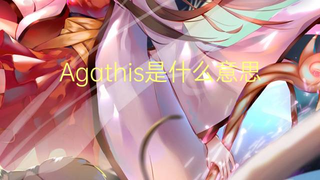 Agathis是什么意思 Agathis的读音、翻译、用法