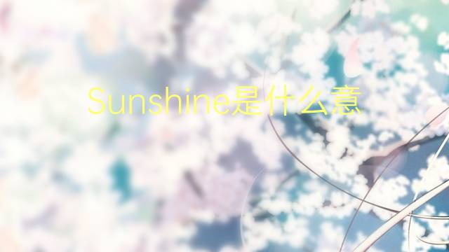 Sunshine是什么意思 Sunshine的读音、翻译、用法