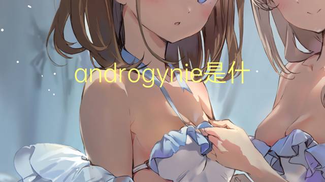 androgynie是什么意思 androgynie的读音、翻译、用法