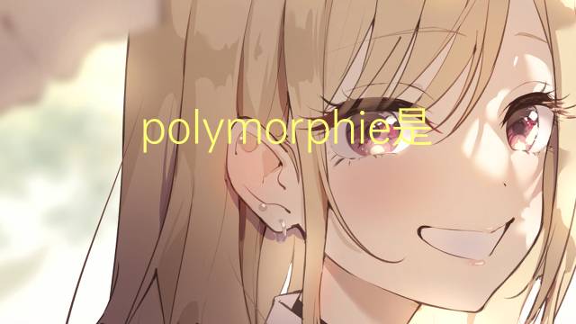 polymorphie是什么意思 polymorphie的读音、翻译、用法