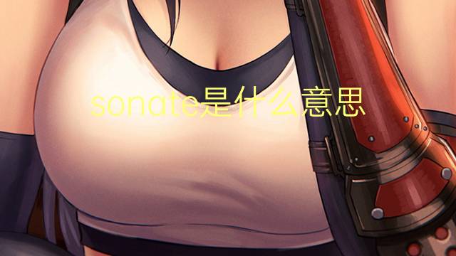 sonate是什么意思 sonate的读音、翻译、用法