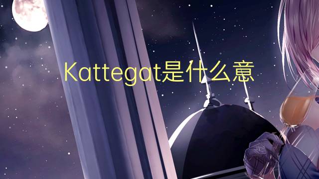 Kattegat是什么意思 Kattegat的读音、翻译、用法