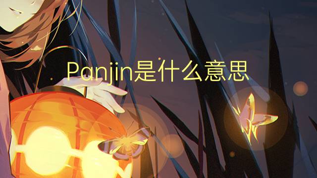 Panjin是什么意思 Panjin的读音、翻译、用法