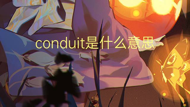 conduit是什么意思 conduit的读音、翻译、用法