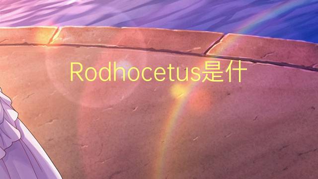 Rodhocetus是什么意思 Rodhocetus的读音、翻译、用法