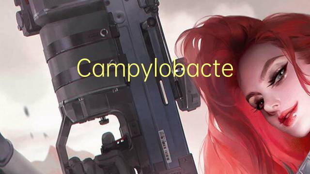 Campylobacter coli是什么意思 Campylobacter coli的读音、翻译、用法