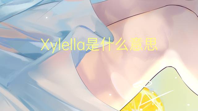 Xylella是什么意思 Xylella的读音、翻译、用法