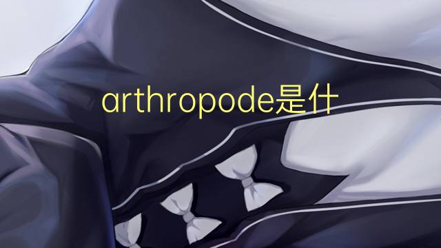 arthropode是什么意思 arthropode的读音、翻译、用法