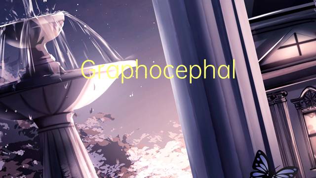 Graphocephala是什么意思 Graphocephala的读音、翻译、用法