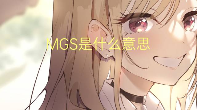 MGS是什么意思 MGS的读音、翻译、用法