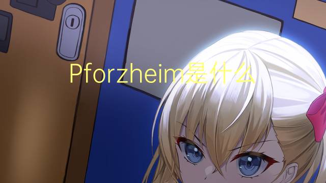 Pforzheim是什么意思 Pforzheim的读音、翻译、用法