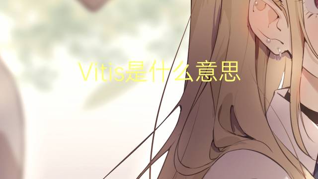 Vitis是什么意思 Vitis的读音、翻译、用法