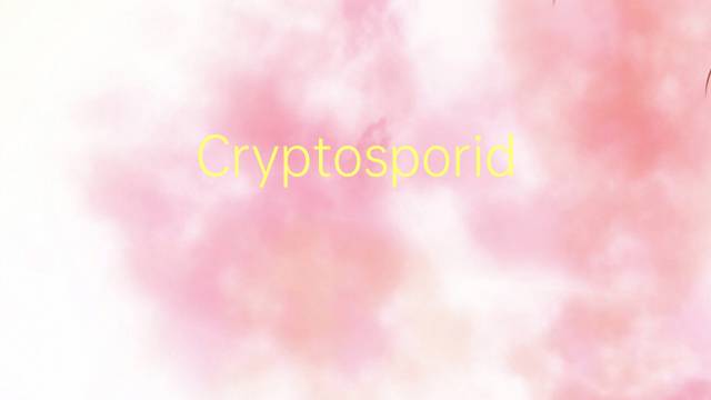 Cryptosporidium parvum是什么意思 Cryptosporidium parvum的读音、翻译、用法