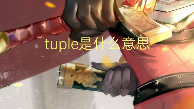 tuple是什么意思 tuple的读音、翻译、用法