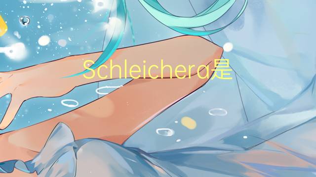 Schleichera是什么意思 Schleichera的读音、翻译、用法