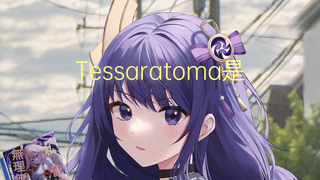 Tessaratoma是什么意思 Tessaratoma的读音、翻译、用法