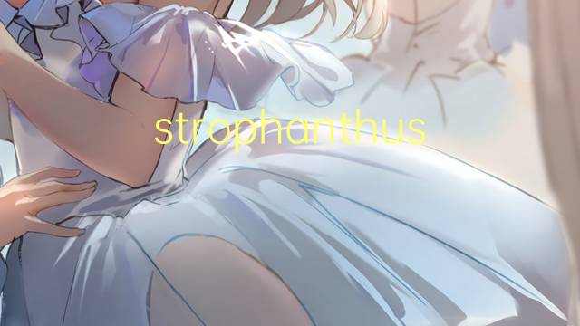 strophanthus是什么意思 strophanthus的读音、翻译、用法