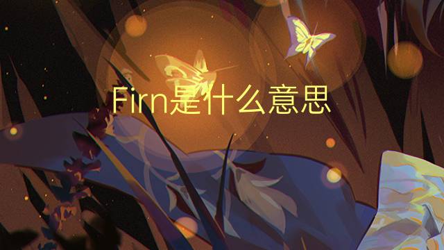 Firn是什么意思 Firn的读音、翻译、用法