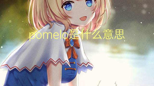 pomelo是什么意思 pomelo的读音、翻译、用法