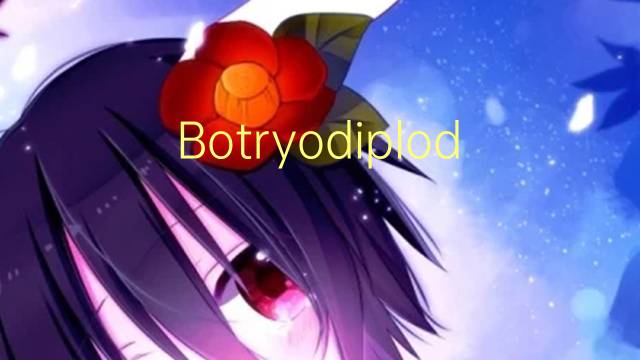 Botryodiplodia是什么意思 Botryodiplodia的读音、翻译、用法