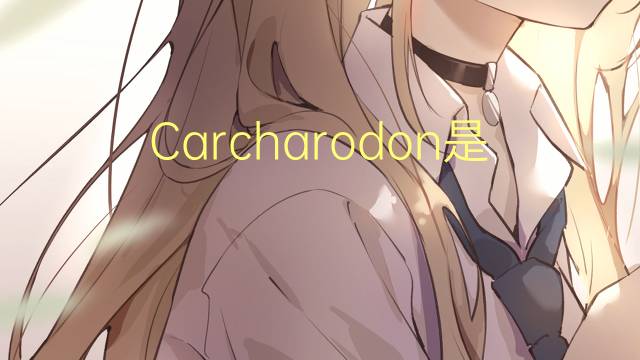 Carcharodon是什么意思 Carcharodon的读音、翻译、用法