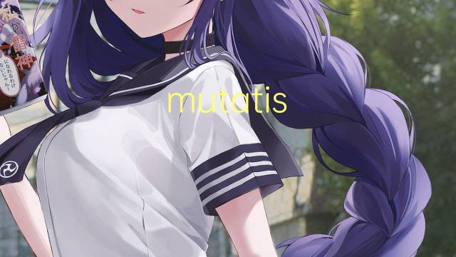 mutatis mutandis是什么意思 mutatis mutandis的读音、翻译、用法