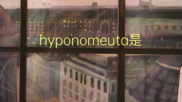 hyponomeuta是什么意思 hyponomeuta的读音、翻译、用法