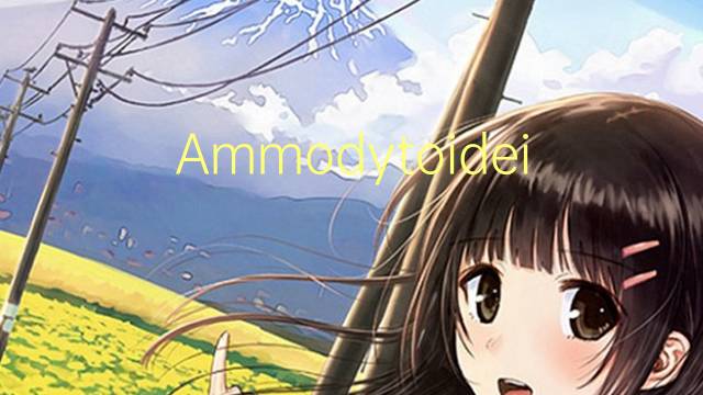 Ammodytoidei是什么意思 Ammodytoidei的读音、翻译、用法