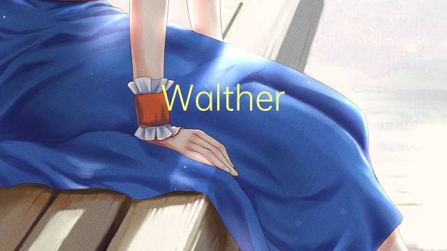 Walther Bothe是什么意思 Walther Bothe的读音、翻译、用法