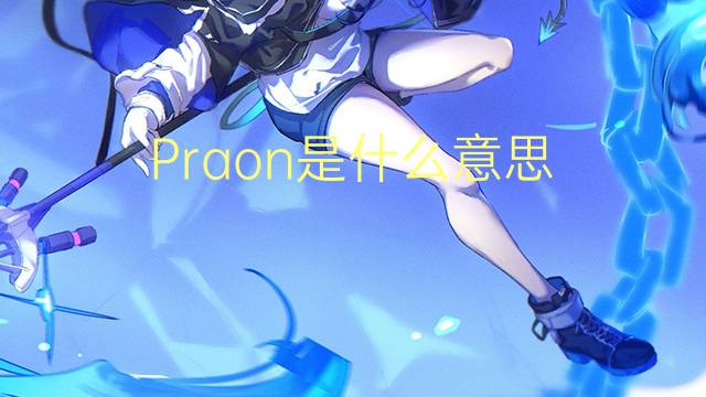 Praon是什么意思 Praon的读音、翻译、用法