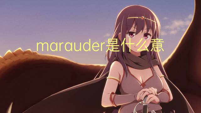 marauder是什么意思 marauder的读音、翻译、用法