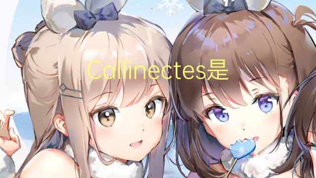 Callinectes是什么意思 Callinectes的读音、翻译、用法