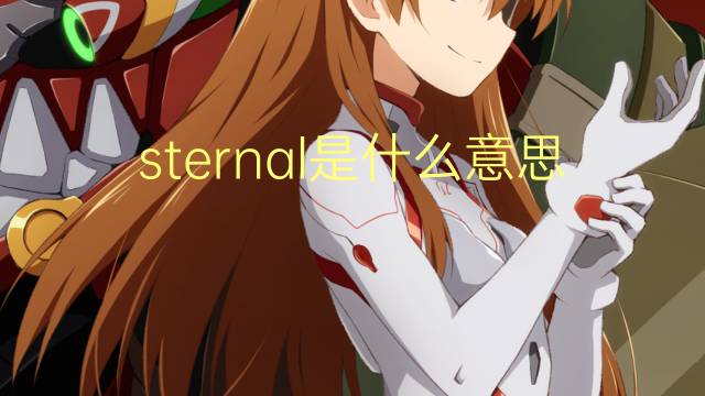 sternal是什么意思 sternal的读音、翻译、用法