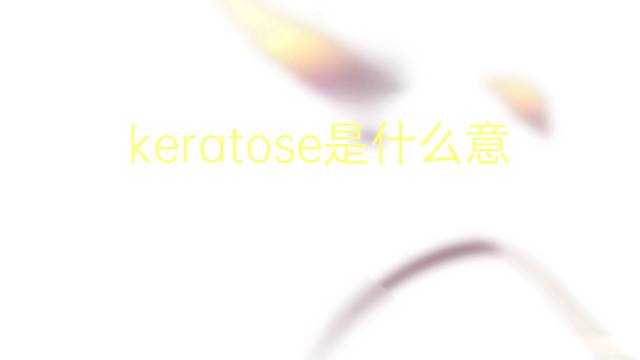 keratose是什么意思 keratose的读音、翻译、用法