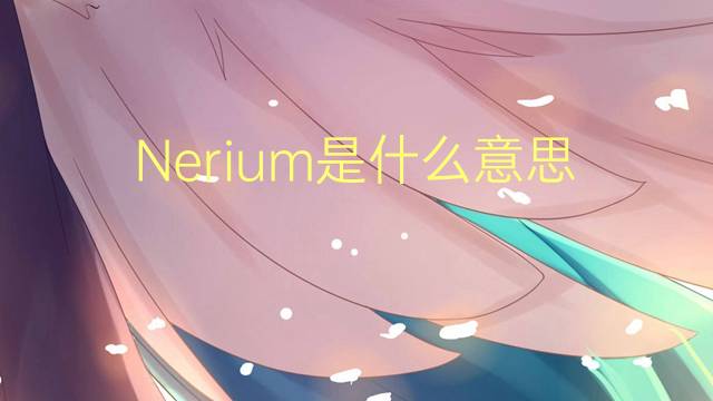 Nerium是什么意思 Nerium的读音、翻译、用法