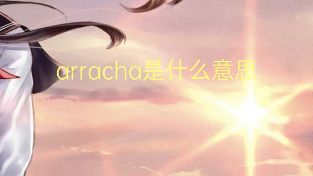 arracha是什么意思 arracha的读音、翻译、用法