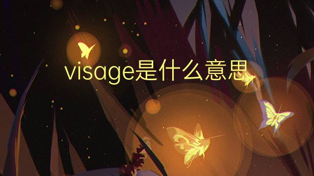 visage是什么意思 visage的读音、翻译、用法