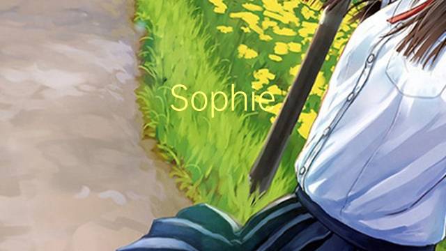 Sophie Blanchard是什么意思 Sophie Blanchard的读音、翻译、用法