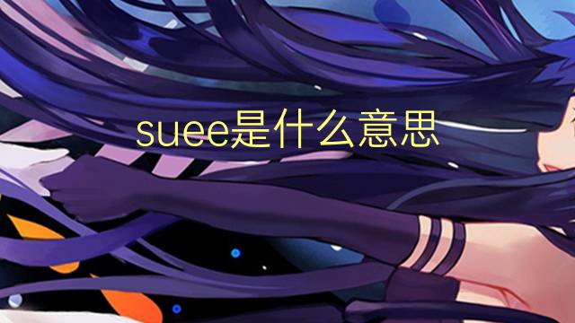 suee是什么意思 suee的读音、翻译、用法