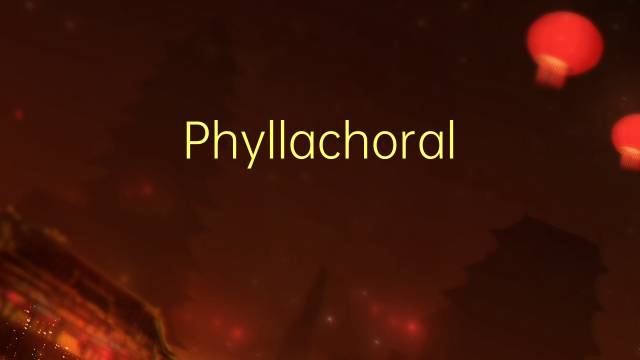 Phyllachorales是什么意思 Phyllachorales的读音、翻译、用法