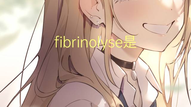 fibrinolyse是什么意思 fibrinolyse的读音、翻译、用法