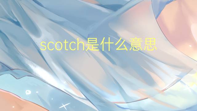 scotch是什么意思 scotch的读音、翻译、用法