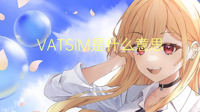 VATSiM是什么意思 VATSiM的读音、翻译、用法