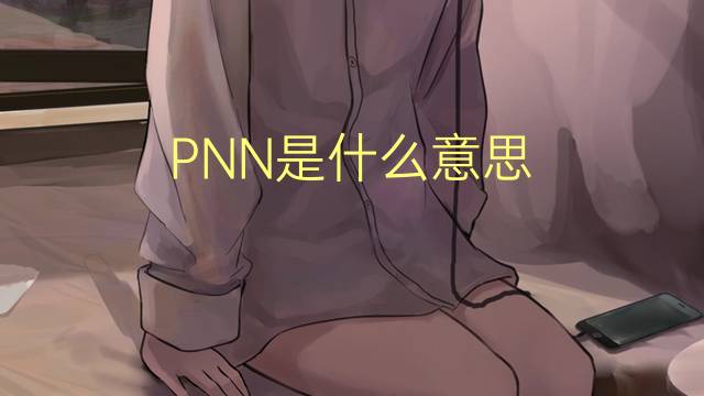 PNN是什么意思 PNN的读音、翻译、用法